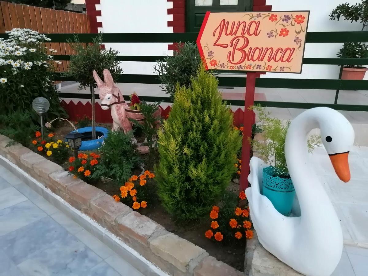 Luna Bianca - Corfu Apartments Exterior foto